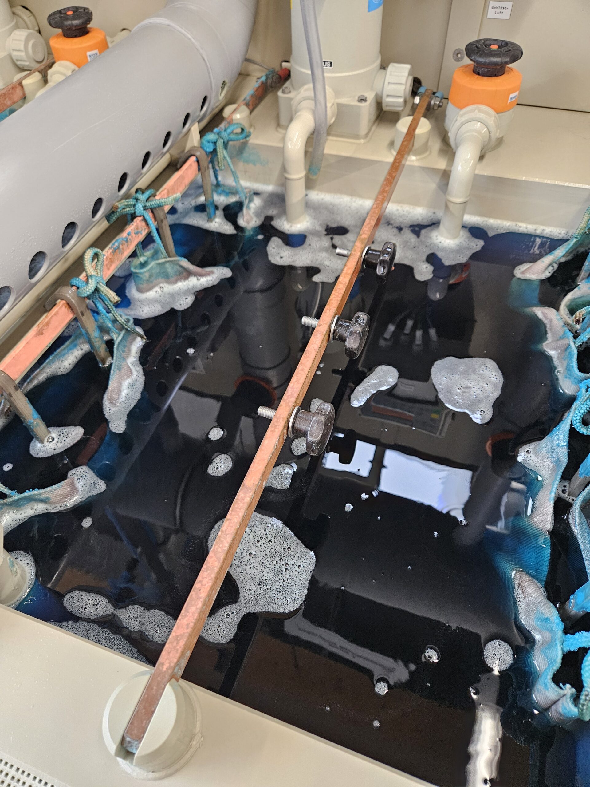 Darstellung eines galvanischen Bades 